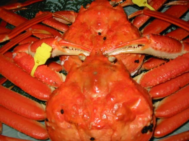 ホテルUmi No Yado Sahei 福井市 エクステリア 写真